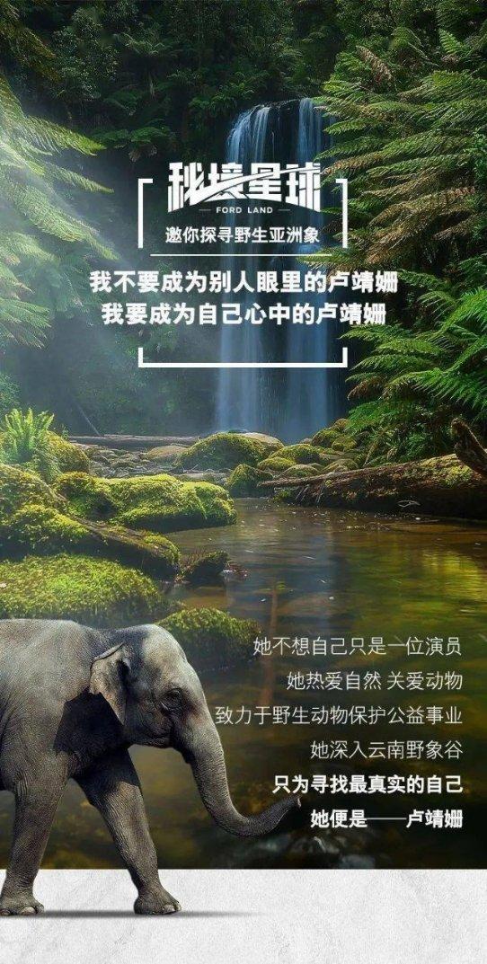 4399警戒风暴